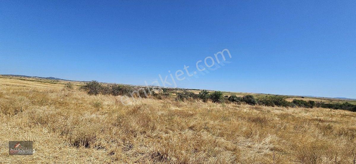 Taşlısekban Köyün'de 7.172 M2 Meraya Komşu — fotoğraf 5