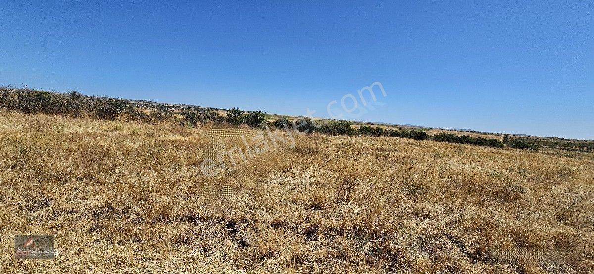 Taşlısekban Köyün'de 7.172 M2 Meraya Komşu — fotoğraf 6