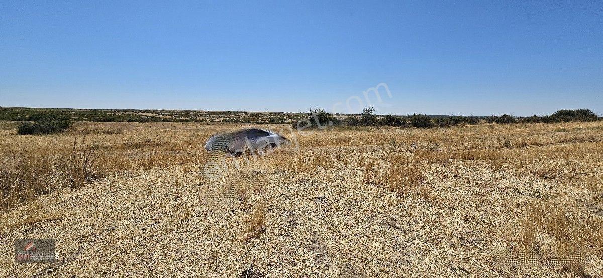 Taşlısekban Köyün'de 7.172 M2 Meraya Komşu — fotoğraf 7