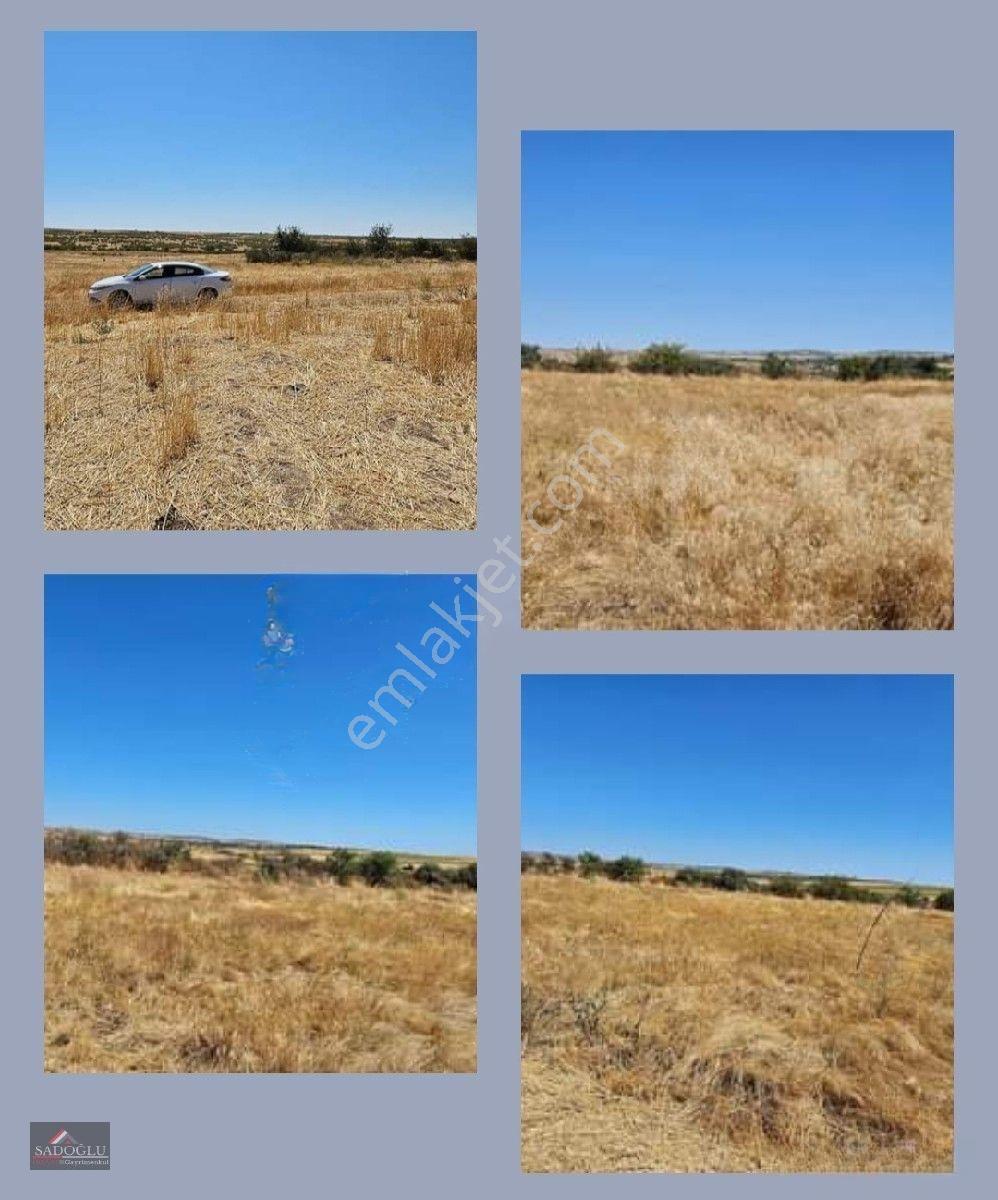 Taşlısekban Köyün'de 7.172 M2 Meraya Komşu — fotoğraf 8