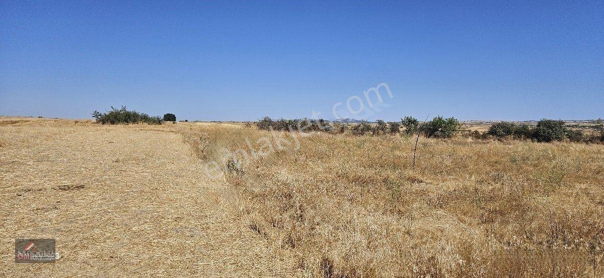 Taşlısekban Köyün'de 7.172 M2 Meraya Komşu — fotoğraf 9