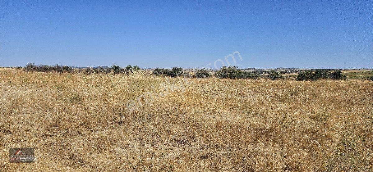Taşlısekban Köyün'de 7.172 M2 Meraya Komşu — fotoğraf 10