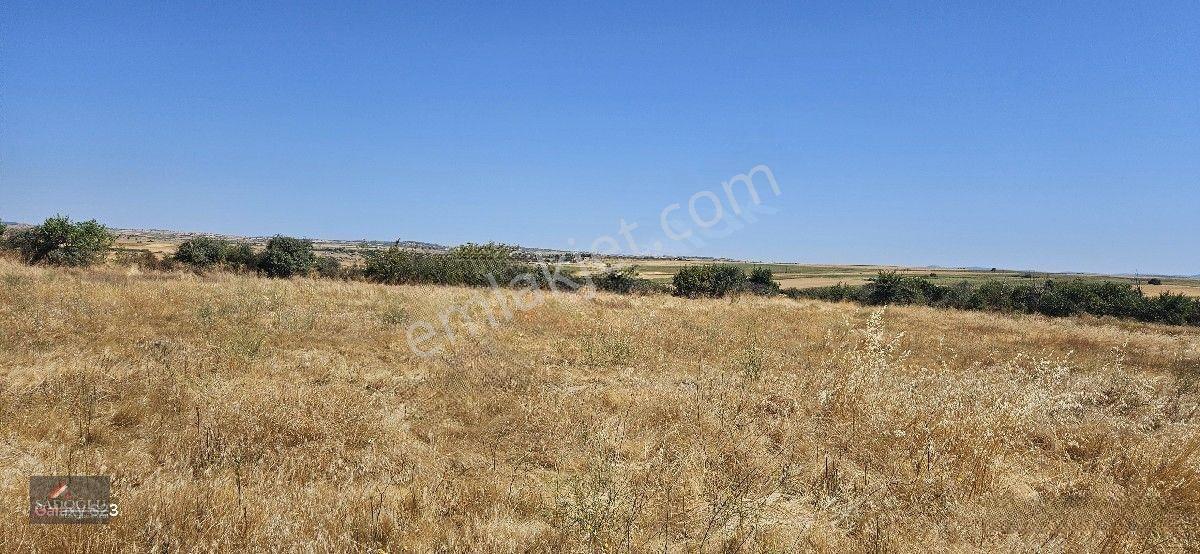 Taşlısekban Köyün'de 7.172 M2 Meraya Komşu — fotoğraf 11