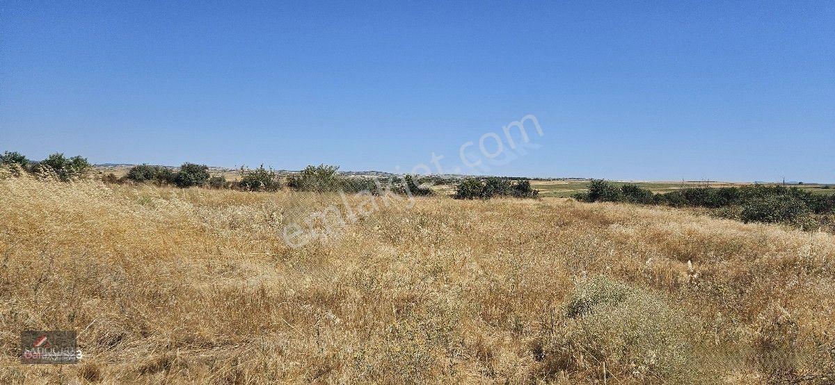 Taşlısekban Köyün'de 7.172 M2 Meraya Komşu — fotoğraf 12