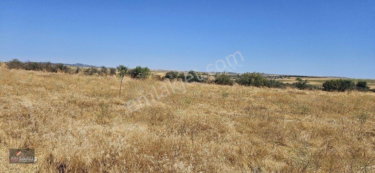 Taşlısekban Köyün'de 7.172 M2 Meraya Komşu — fotoğraf 13