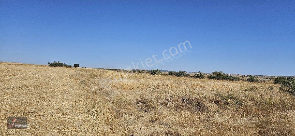 Taşlısekban Köyün'de 7.172 M2 Meraya Komşu — fotoğraf 14