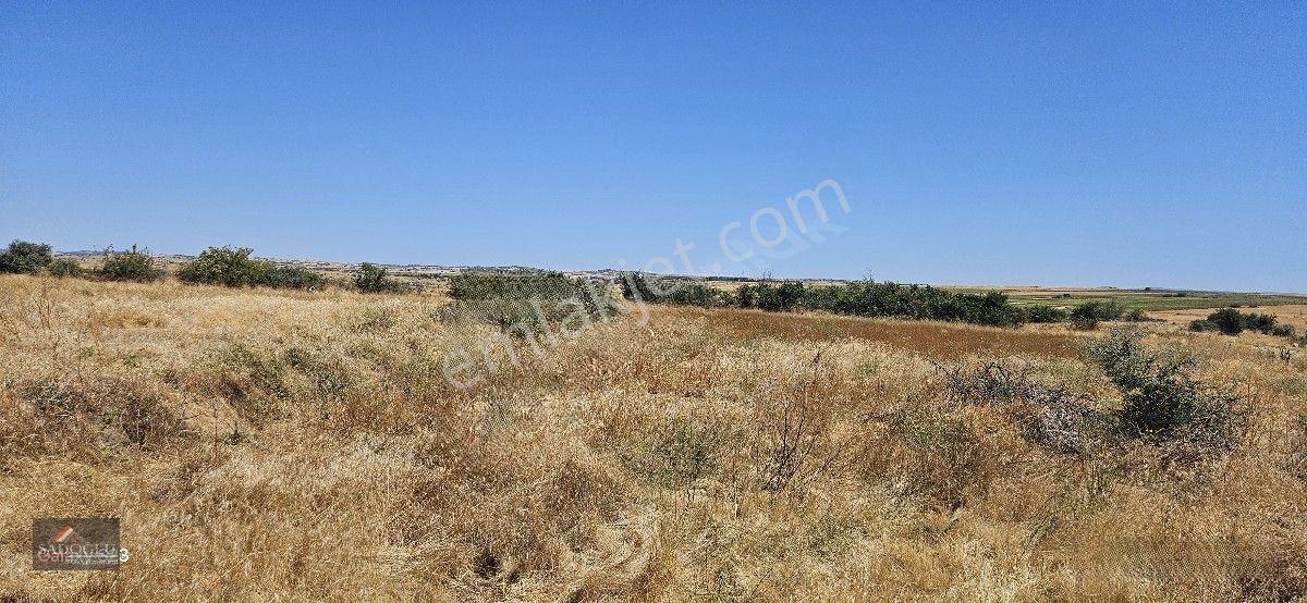 Taşlısekban Köyün'de 7.172 M2 Meraya Komşu — fotoğraf 15