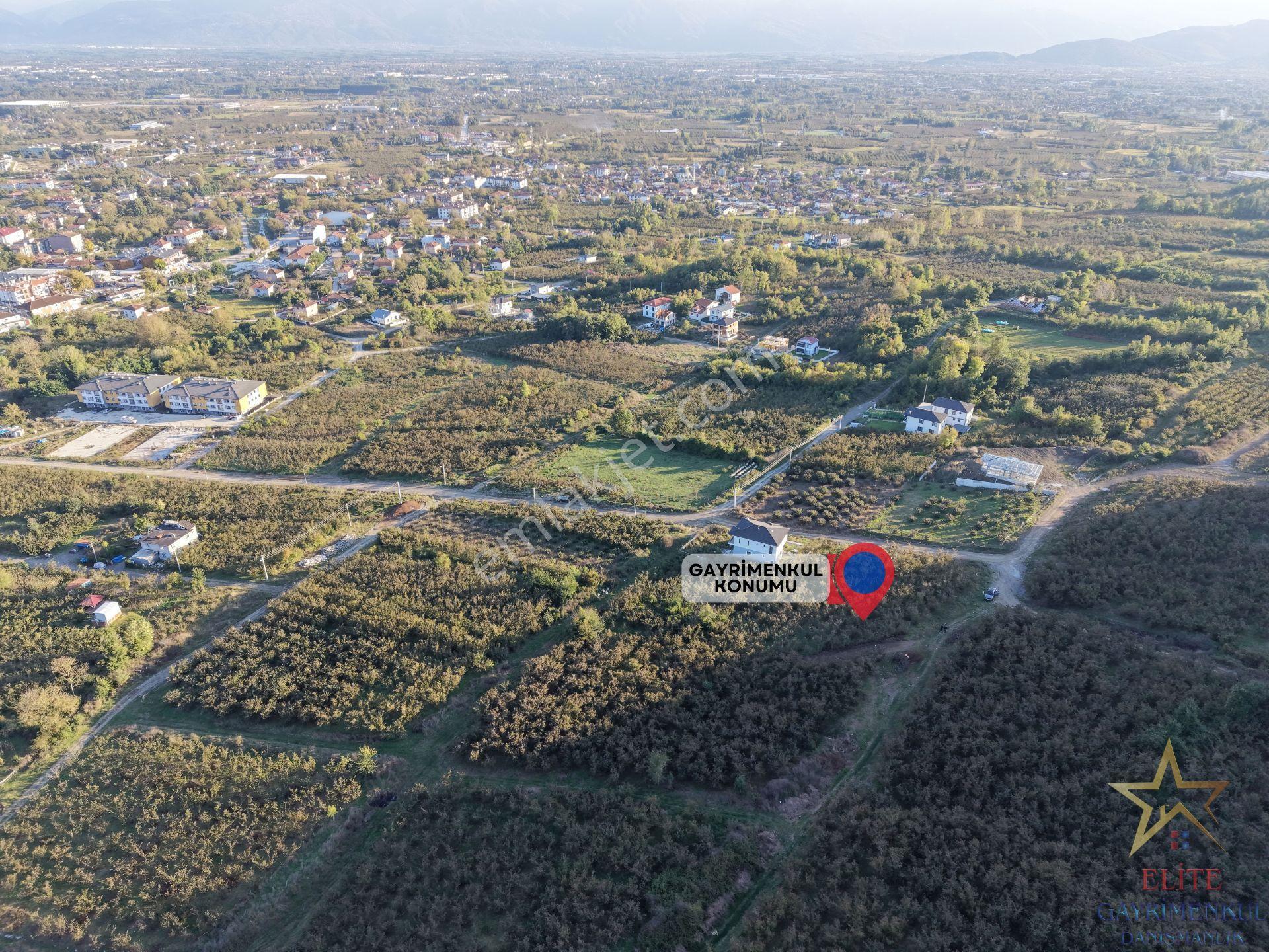 Elite Gd & Panoramik Düzce Manzaralı Satılık Kupon Arsa — fotoğraf 8
