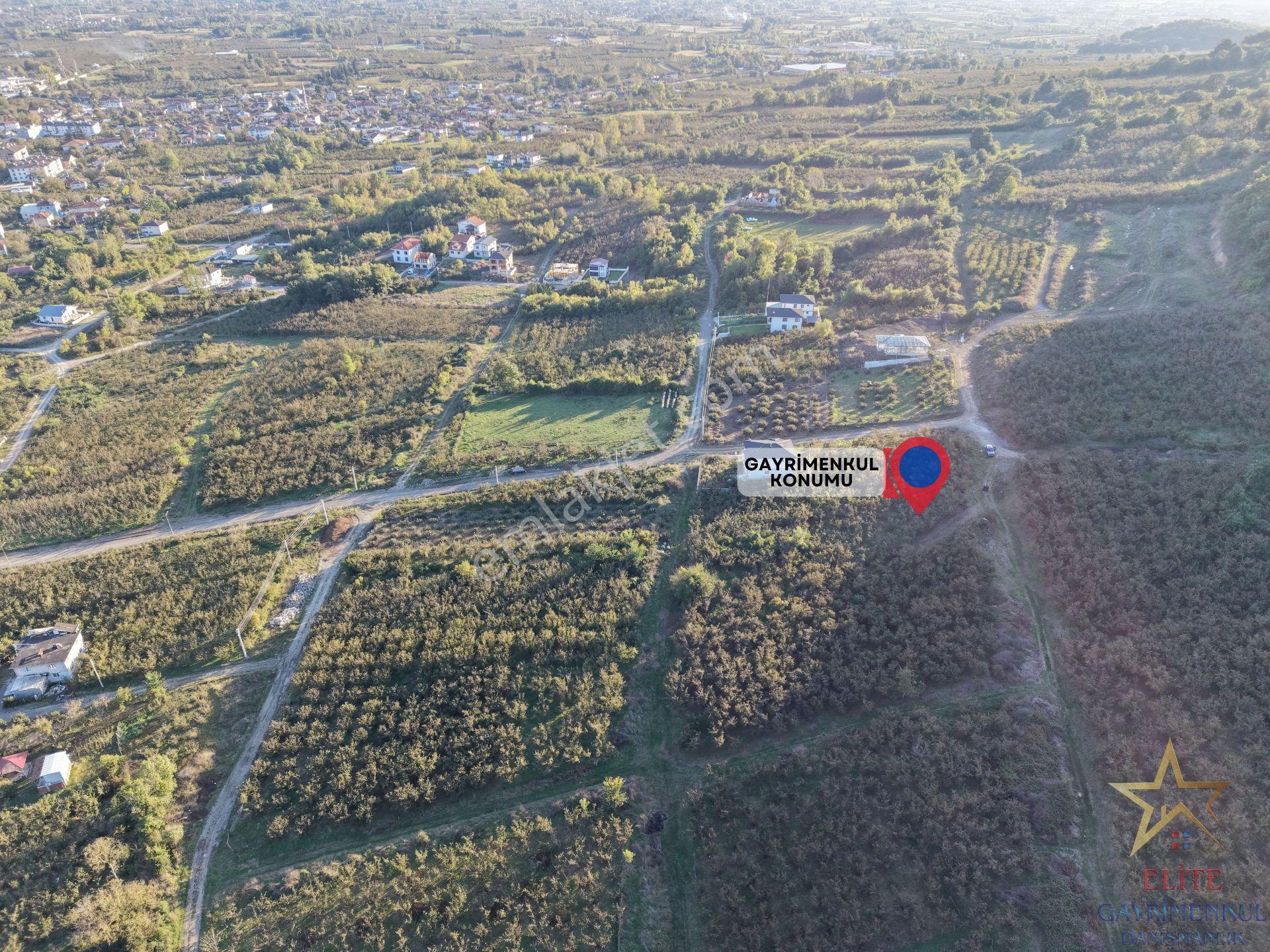 Elite Gd & Panoramik Düzce Manzaralı Satılık Kupon Arsa — fotoğraf 9