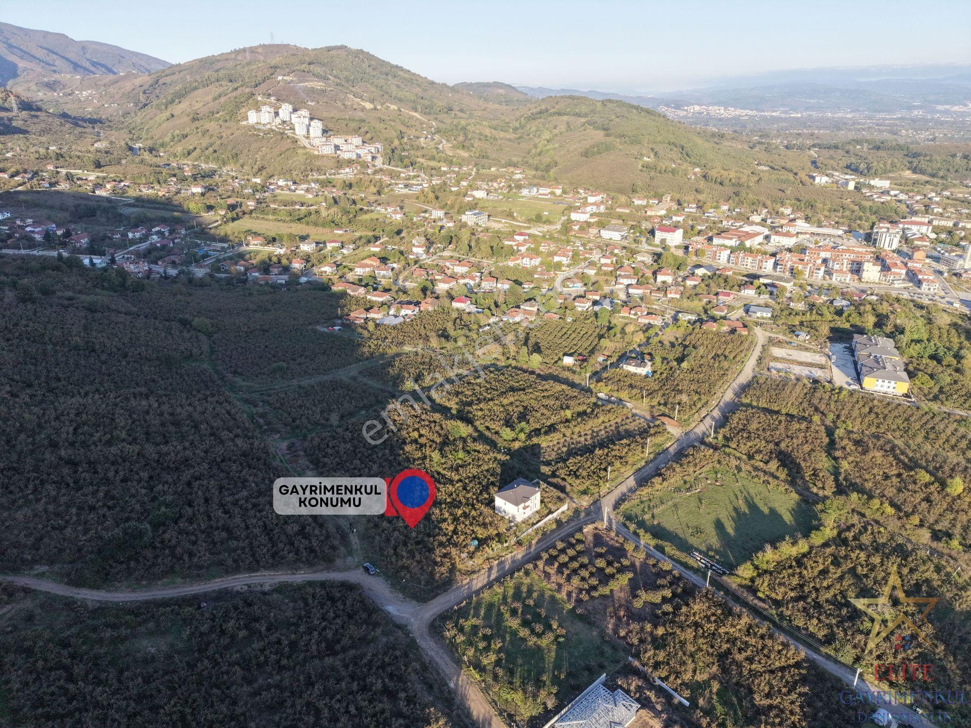 Elite Gd & Panoramik Düzce Manzaralı Satılık Kupon Arsa — fotoğraf 11
