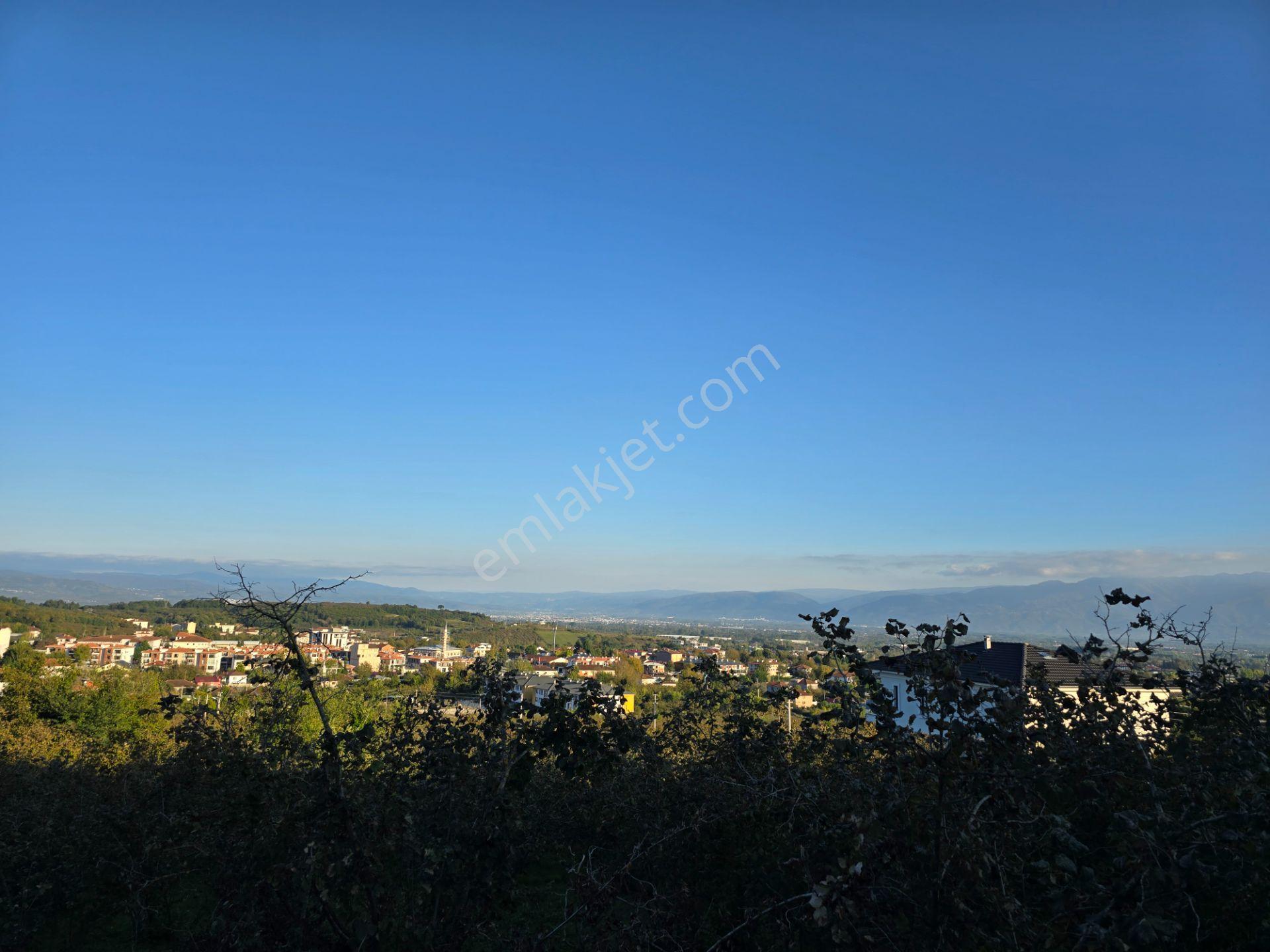 Elite Gd & Panoramik Düzce Manzaralı Satılık Kupon Arsa — fotoğraf 12