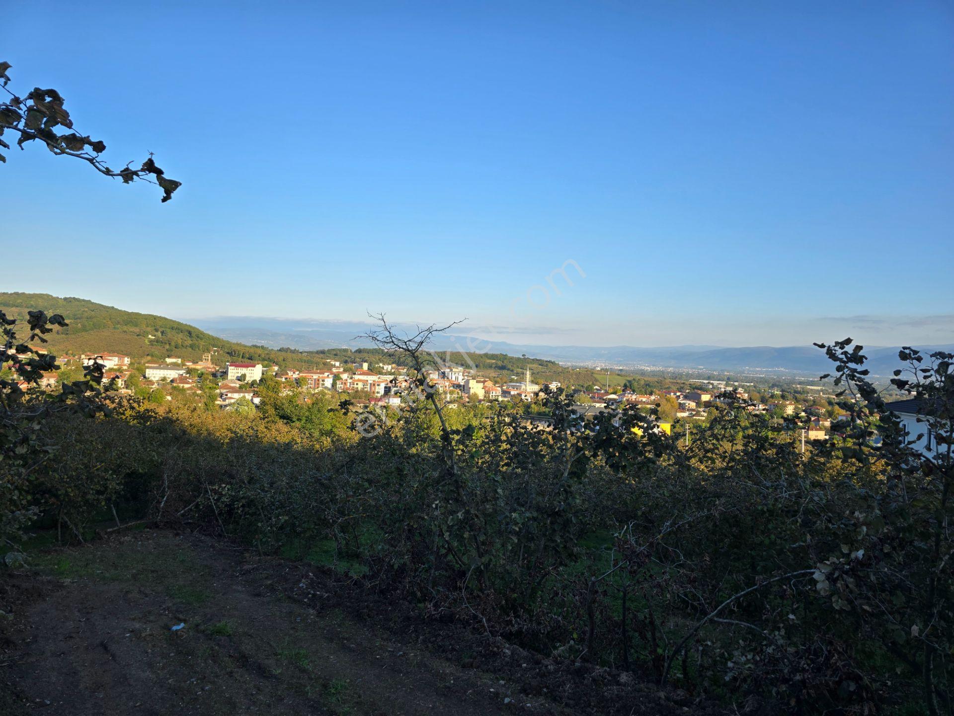 Elite Gd & Panoramik Düzce Manzaralı Satılık Kupon Arsa — fotoğraf 13