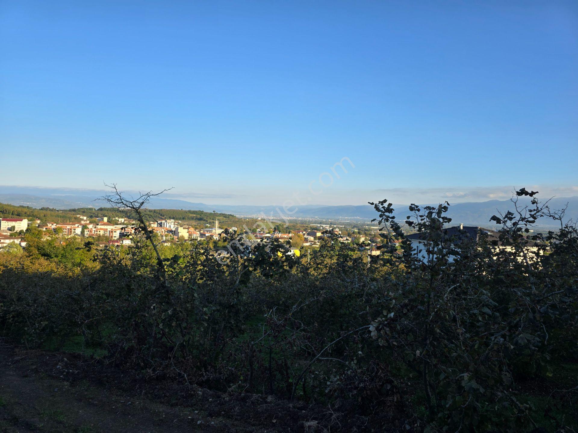 Elite Gd & Panoramik Düzce Manzaralı Satılık Kupon Arsa — fotoğraf 14