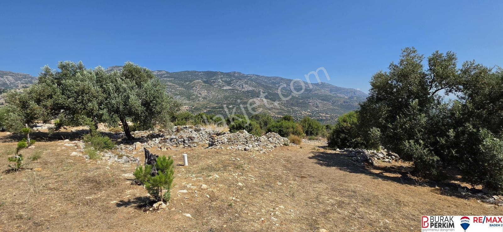 Seydikemer Dodurga'da 8.362 M² Tek Tapu Satılık Havuzlu Taş Ev — fotoğraf 29
