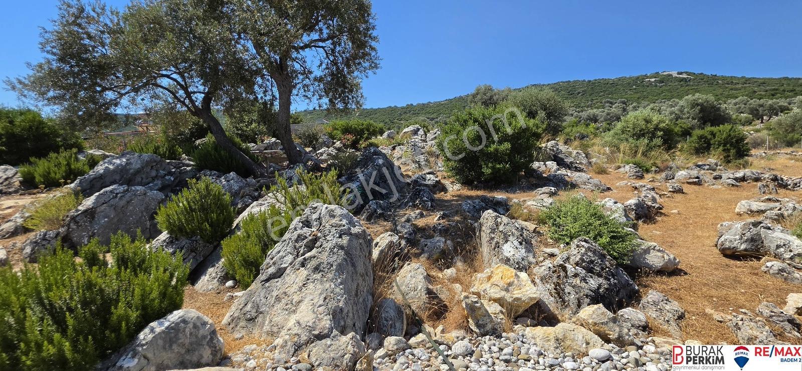 Seydikemer Dodurga'da 8.362 M² Tek Tapu Satılık Havuzlu Taş Ev — fotoğraf 33