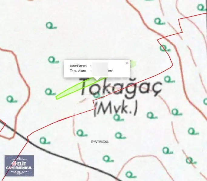 Kayseri Pınarbaşında Satılık Tarla — fotoğraf 3