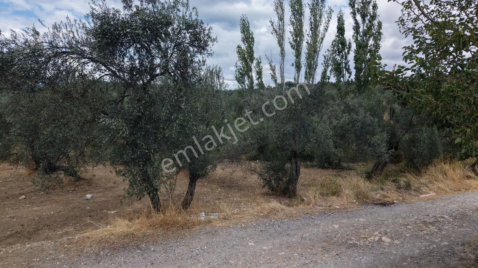 Çankaya'dan Büyük Yatırım Fırsatı! 3 Parsel 3 Tapu Tek Fiyat — fotoğraf 42