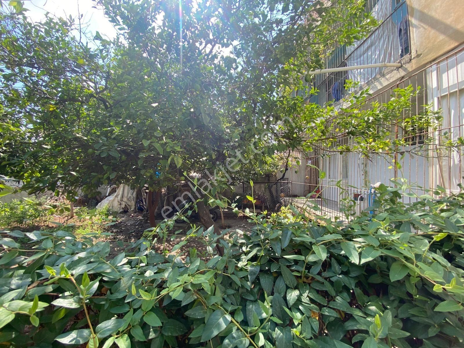 Lavinia'dan İsmetpaşada 270 M2 Arsa Komple Satılık Müstakil Ev — fotoğraf 6