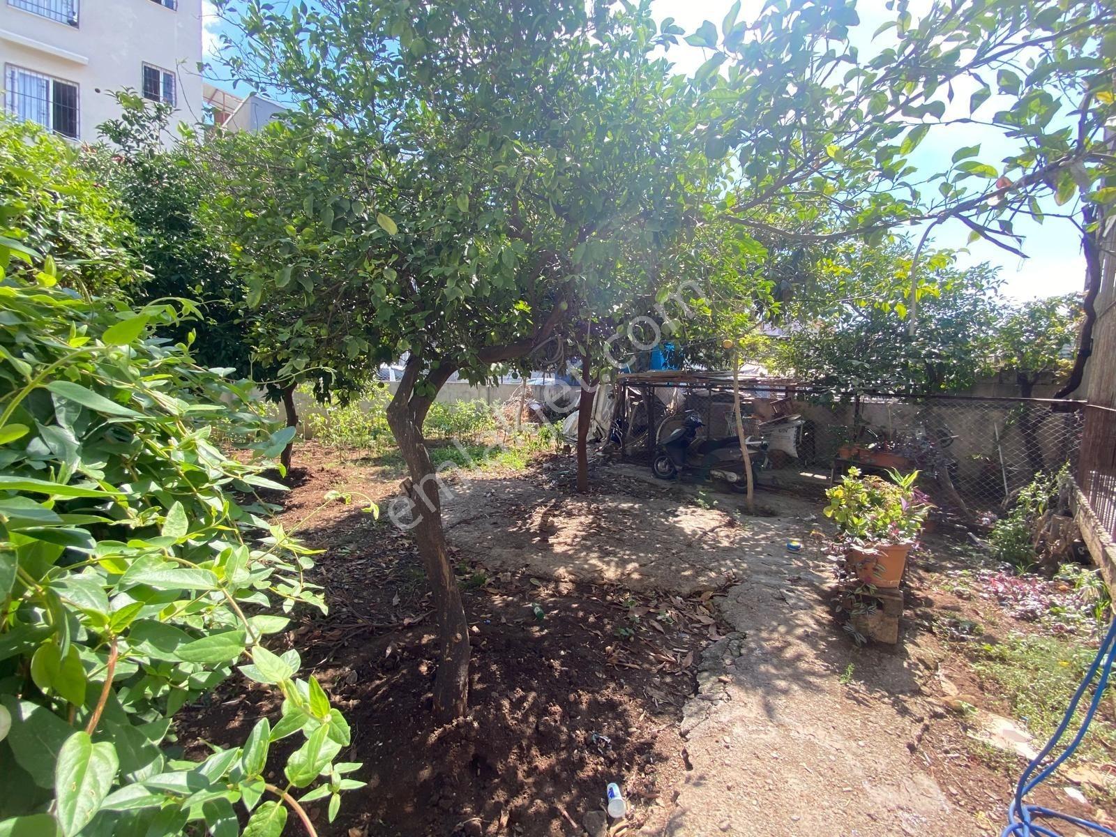 Lavinia'dan İsmetpaşada 270 M2 Arsa Komple Satılık Müstakil Ev — fotoğraf 10