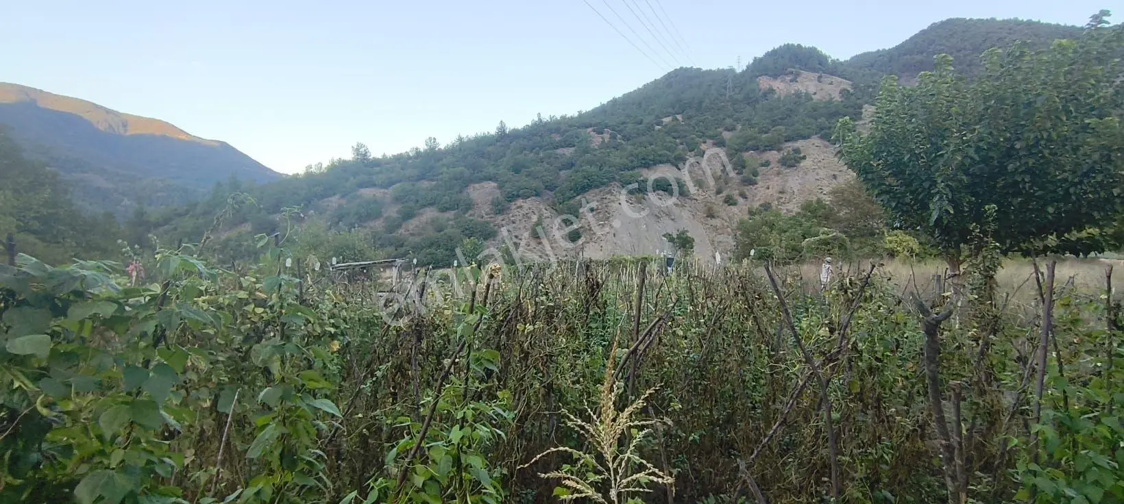 Karabük Merkez Pirinçlik Mevkii Kahyalar Köyü’nde 788 M² Arsa İçerisinde Müstakil Bahçeli Ev! — fotoğraf 27