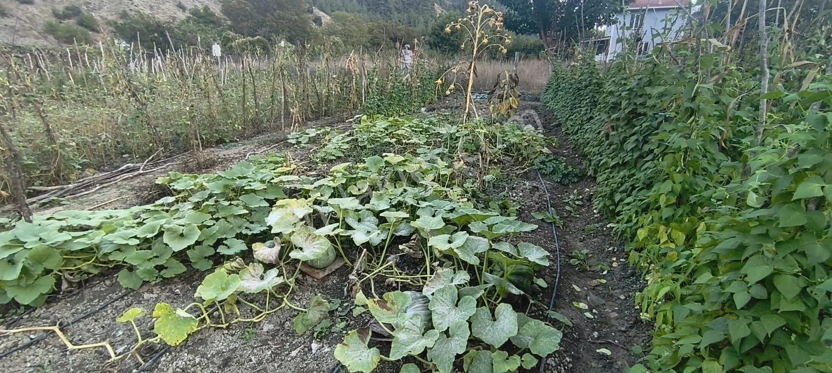 Karabük Merkez Pirinçlik Mevkii Kahyalar Köyü’nde 788 M² Arsa İçerisinde Müstakil Bahçeli Ev! — fotoğraf 32