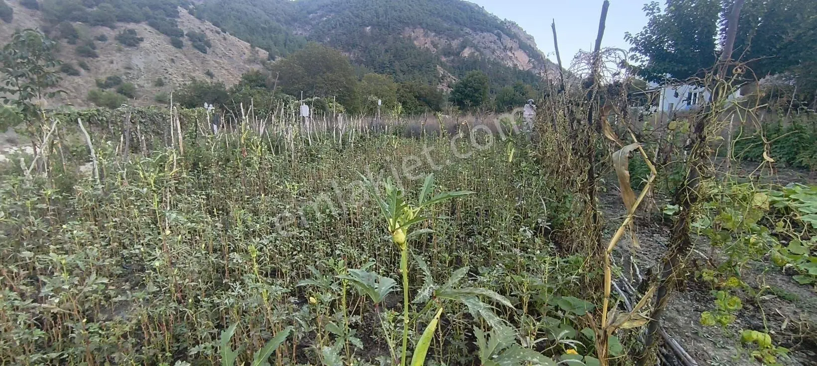 Karabük Merkez Pirinçlik Mevkii Kahyalar Köyü’nde 788 M² Arsa İçerisinde Müstakil Bahçeli Ev! — fotoğraf 35