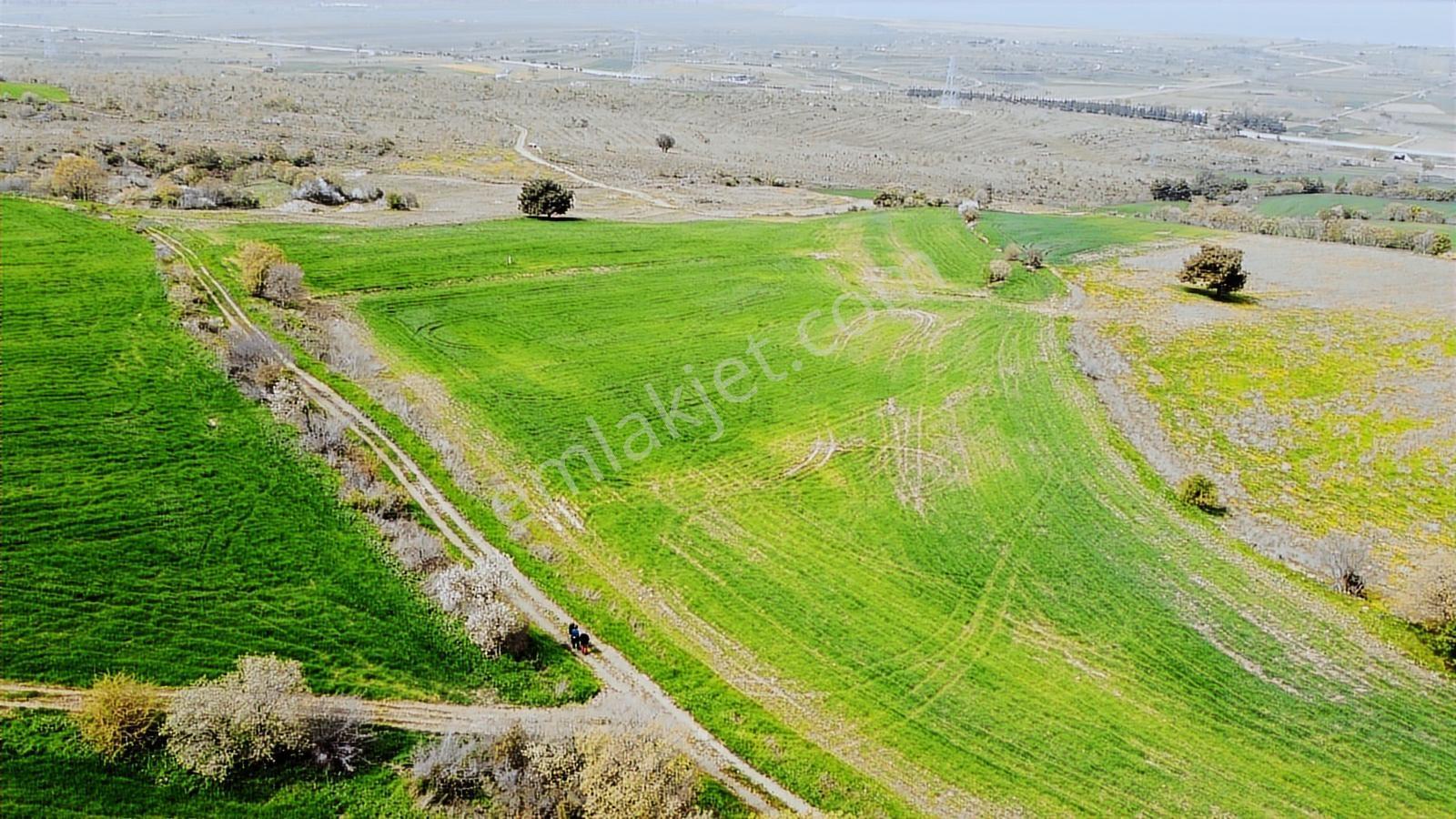 Çanakkale Musaköyde Panaromik Boğaz Ve Köprü Manzaralı Arazi — fotoğraf 2