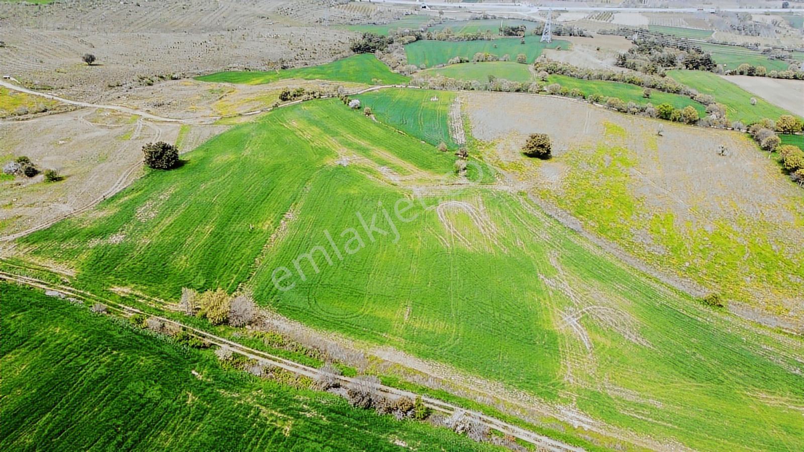 Çanakkale Musaköyde Panaromik Boğaz Ve Köprü Manzaralı Arazi — fotoğraf 3