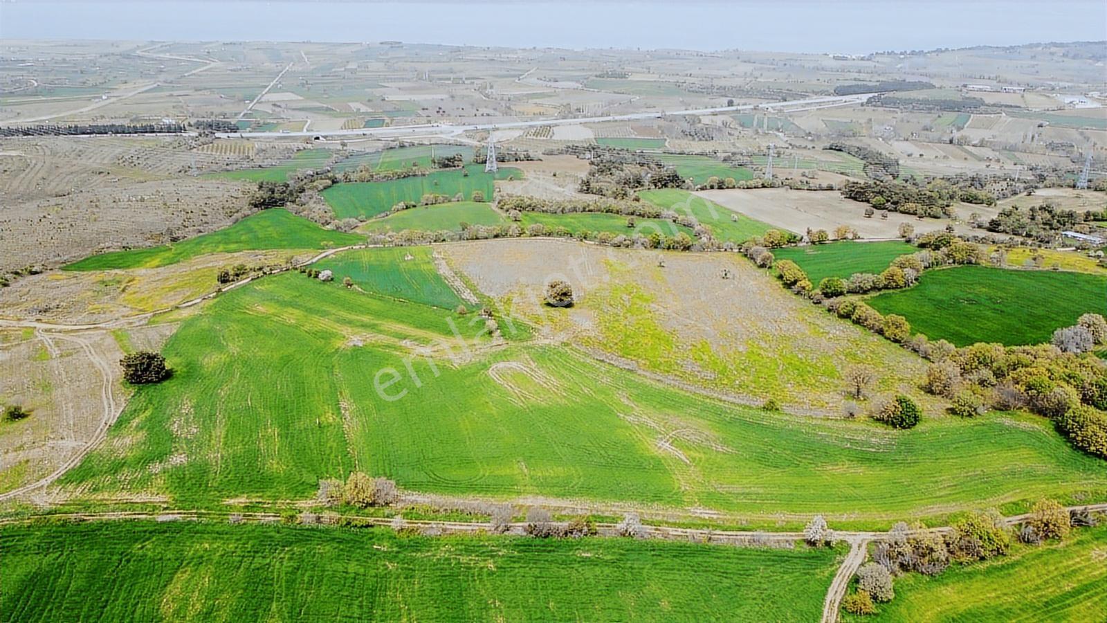 Çanakkale Musaköyde Panaromik Boğaz Ve Köprü Manzaralı Arazi — fotoğraf 5