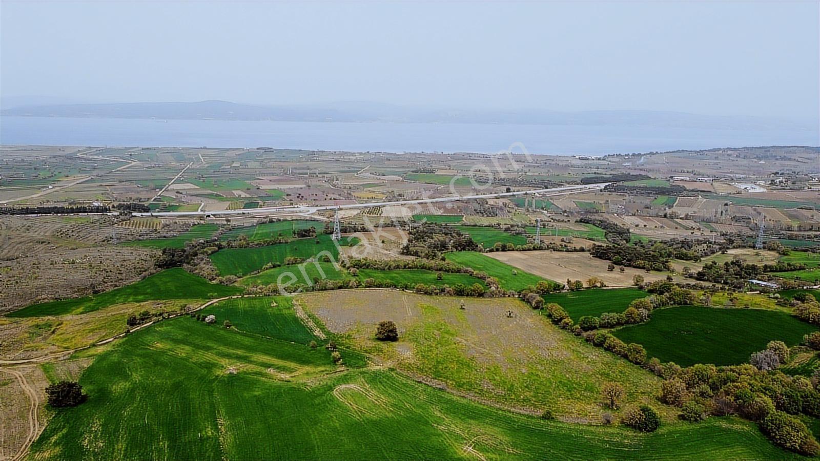 Çanakkale Musaköyde Panaromik Boğaz Ve Köprü Manzaralı Arazi — fotoğraf 7