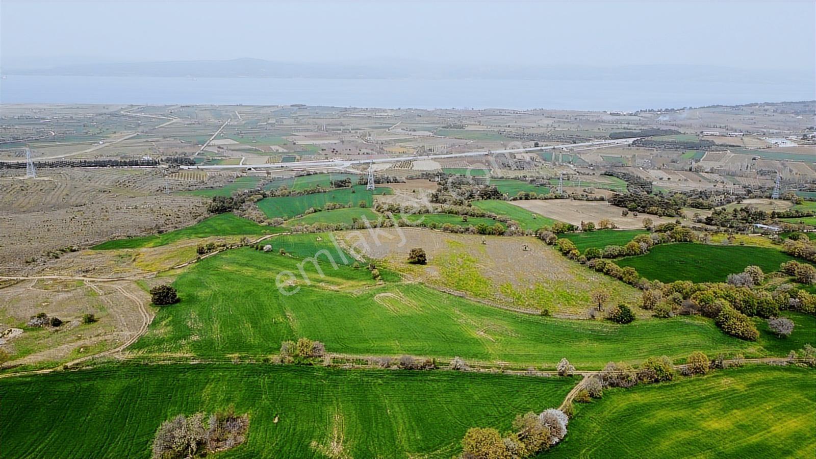 Çanakkale Musaköyde Panaromik Boğaz Ve Köprü Manzaralı Arazi — fotoğraf 9