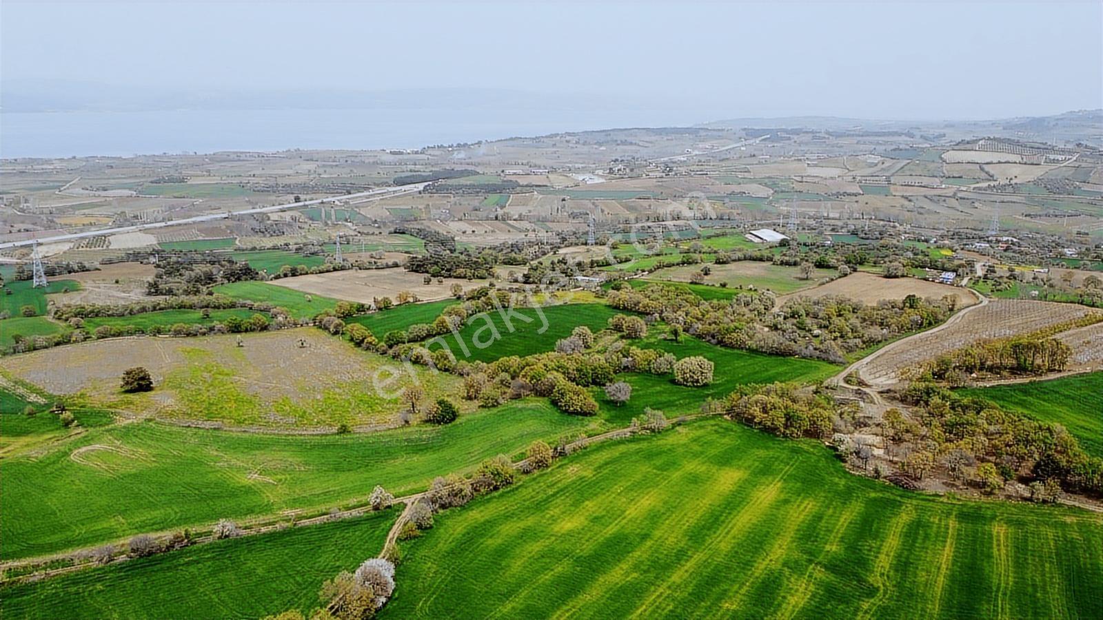 Çanakkale Musaköyde Panaromik Boğaz Ve Köprü Manzaralı Arazi — fotoğraf 10