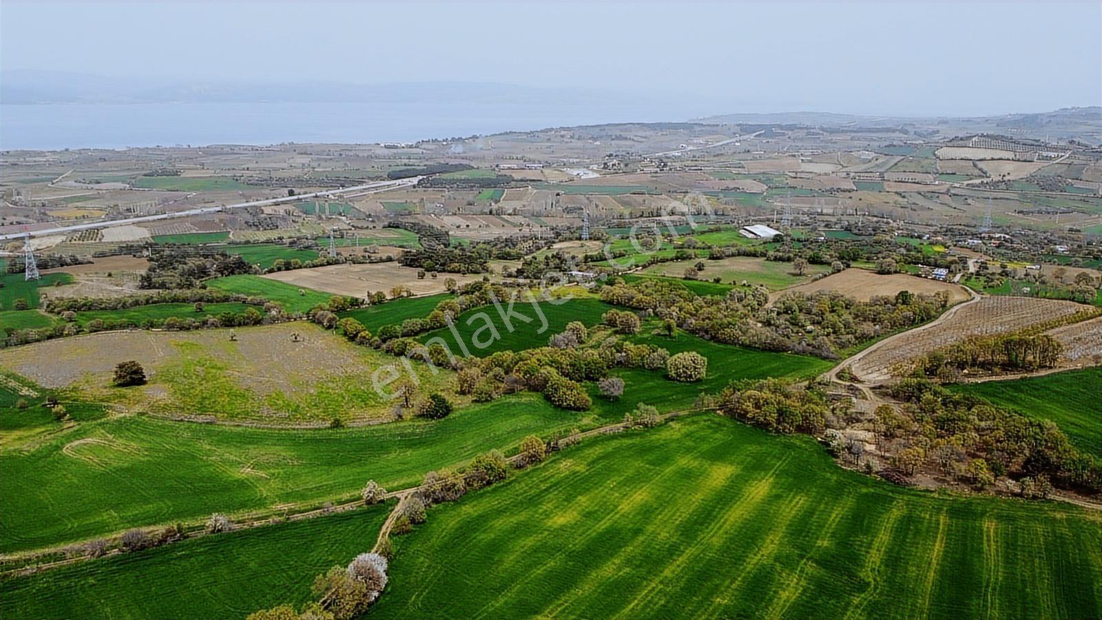 Çanakkale Musaköyde Panaromik Boğaz Ve Köprü Manzaralı Arazi — fotoğraf 11