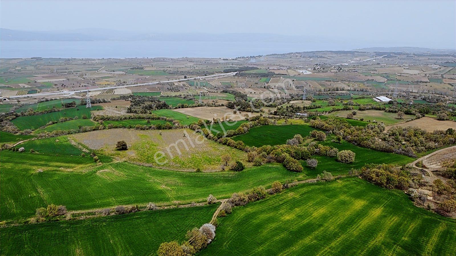 Çanakkale Musaköyde Panaromik Boğaz Ve Köprü Manzaralı Arazi — fotoğraf 12