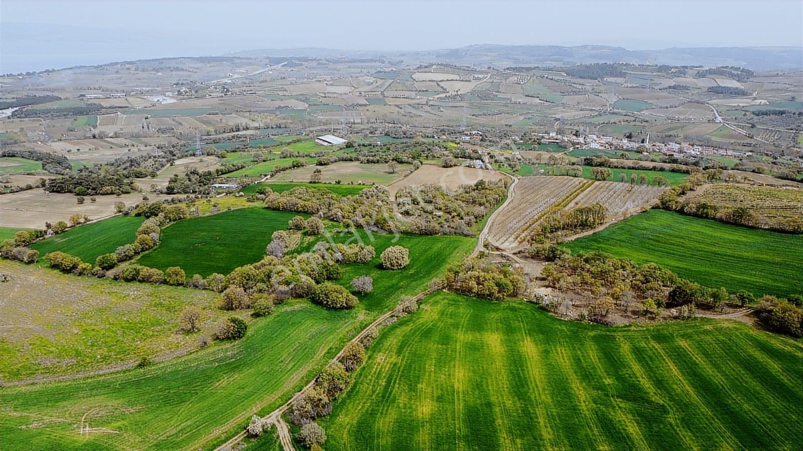 Çanakkale Musaköyde Panaromik Boğaz Ve Köprü Manzaralı Arazi — fotoğraf 15