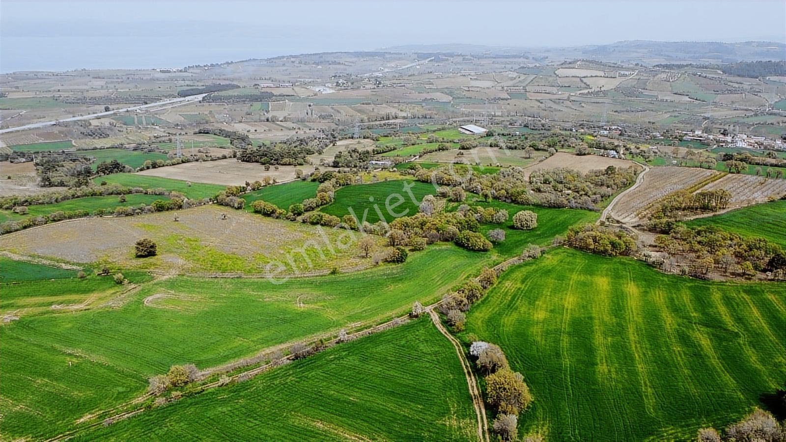 Çanakkale Musaköyde Panaromik Boğaz Ve Köprü Manzaralı Arazi — fotoğraf 16