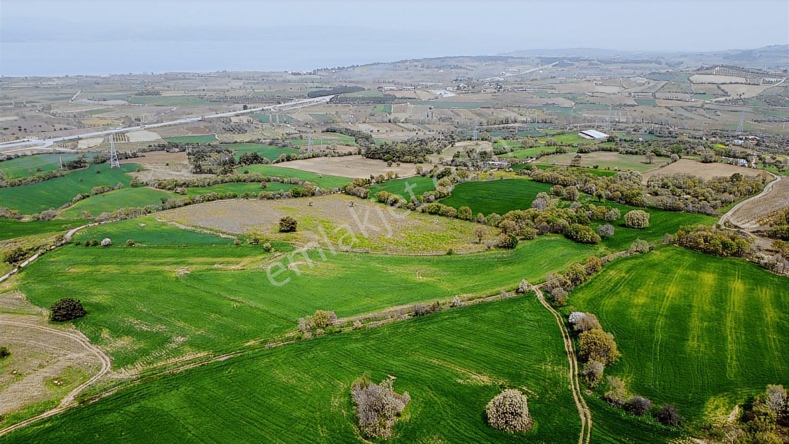Çanakkale Musaköyde Panaromik Boğaz Ve Köprü Manzaralı Arazi — fotoğraf 17