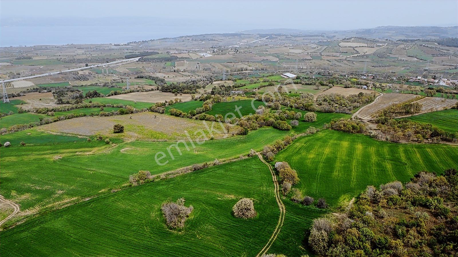 Çanakkale Musaköyde Panaromik Boğaz Ve Köprü Manzaralı Arazi — fotoğraf 19