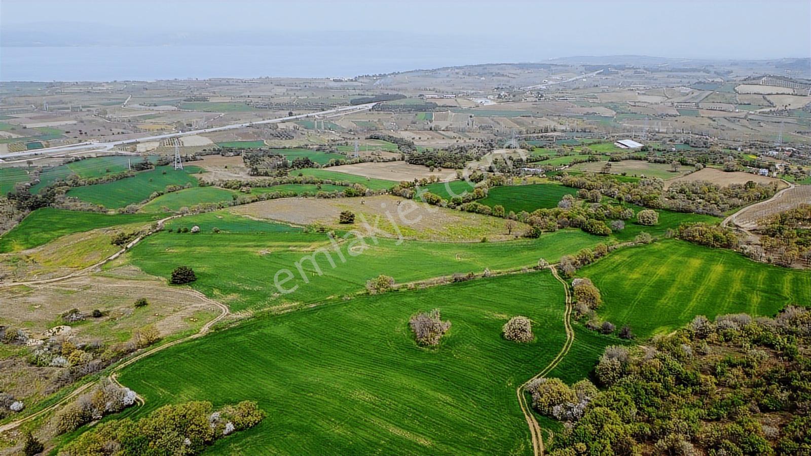 Çanakkale Musaköyde Panaromik Boğaz Ve Köprü Manzaralı Arazi — fotoğraf 22