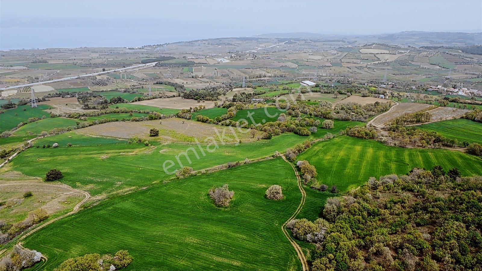Çanakkale Musaköyde Panaromik Boğaz Ve Köprü Manzaralı Arazi — fotoğraf 23