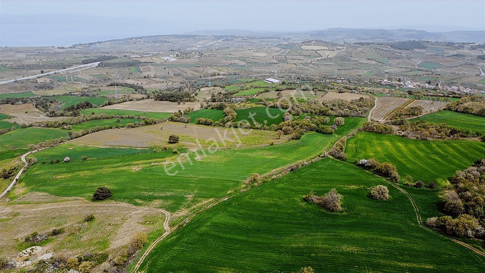 Çanakkale Musaköyde Panaromik Boğaz Ve Köprü Manzaralı Arazi — fotoğraf 24