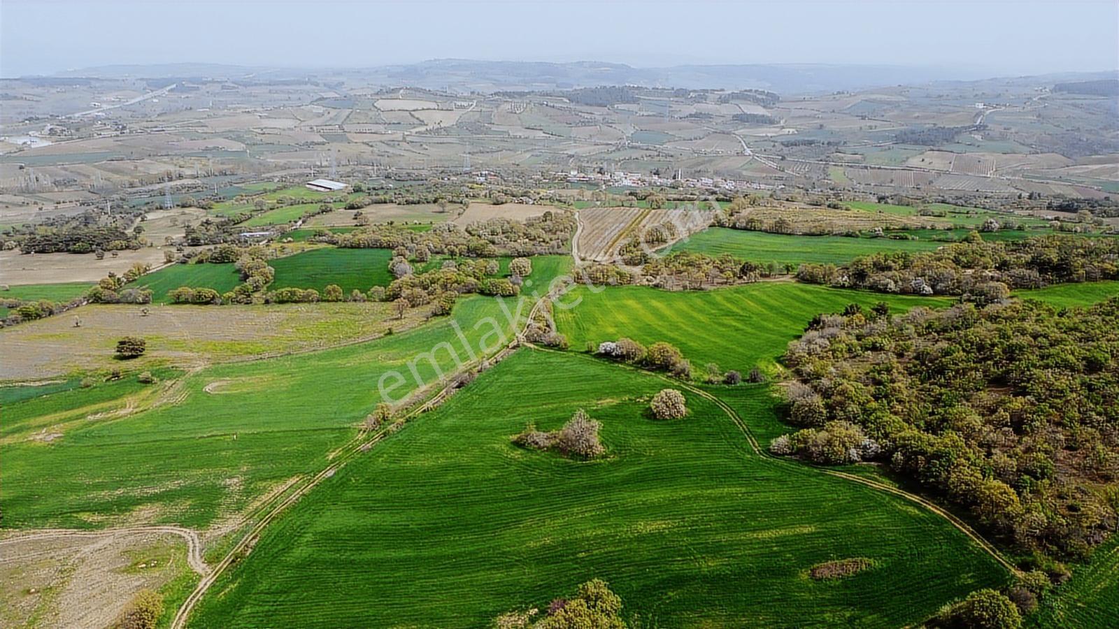 Çanakkale Musaköyde Panaromik Boğaz Ve Köprü Manzaralı Arazi — fotoğraf 25