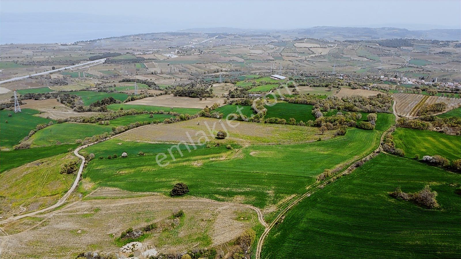 Çanakkale Musaköyde Panaromik Boğaz Ve Köprü Manzaralı Arazi — fotoğraf 26