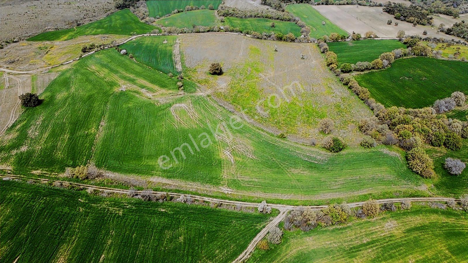 Çanakkale Musaköyde Panaromik Boğaz Ve Köprü Manzaralı Arazi — fotoğraf 27