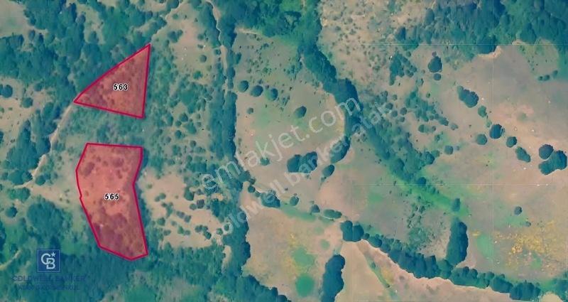 Çanakkale Biga Sarısıvatta Köye Yakın 1.850 M² Yatırımlık Tarla — fotoğraf 2