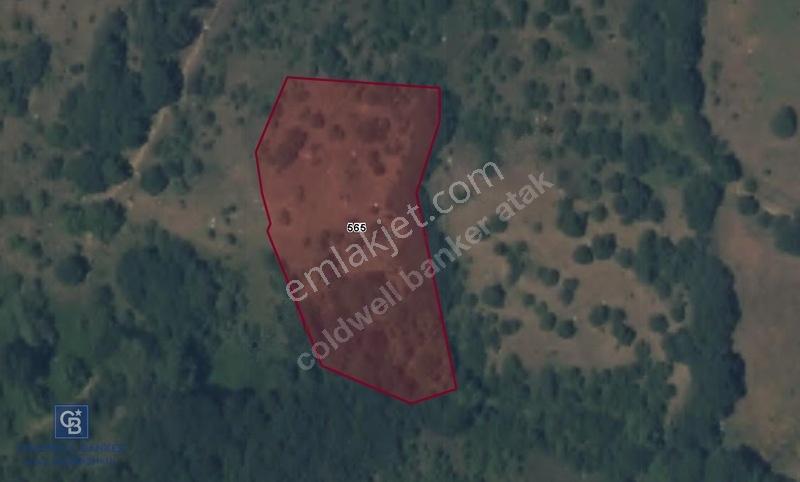 Çanakkale Biga Sarısıvatta Köye Yakın 4,088 M² Yatırımlık Tarla
