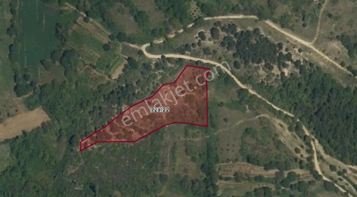 Satılık 6362 Metre Kare Tarla — fotoğraf 2