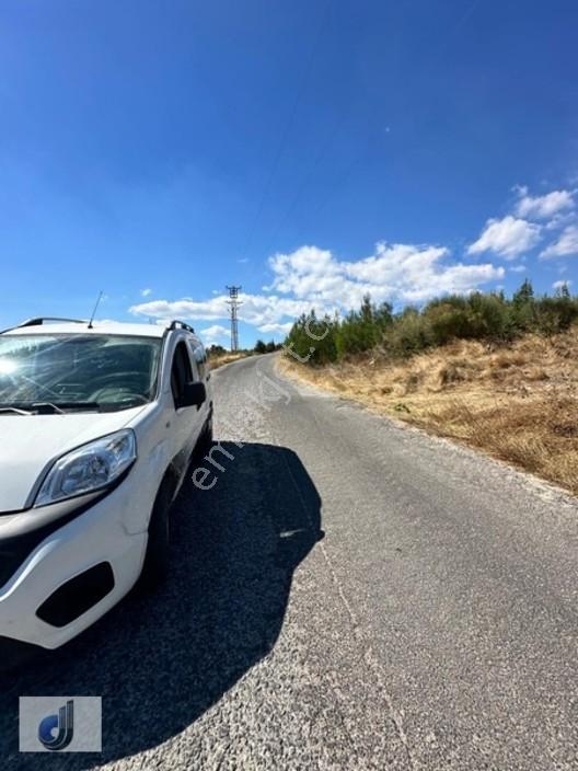 Büyükışıklar Mahallesinde Satılık Zeytinlik — fotoğraf 3