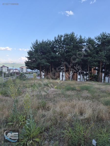 1+1 Daire Sahile Yürüme Mesafesinde Acill — fotoğraf 4