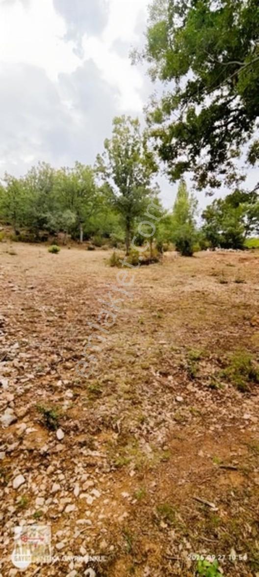 Antika Gayrimenkul'den Altınyayla'da Satılık Tarla — fotoğraf 2